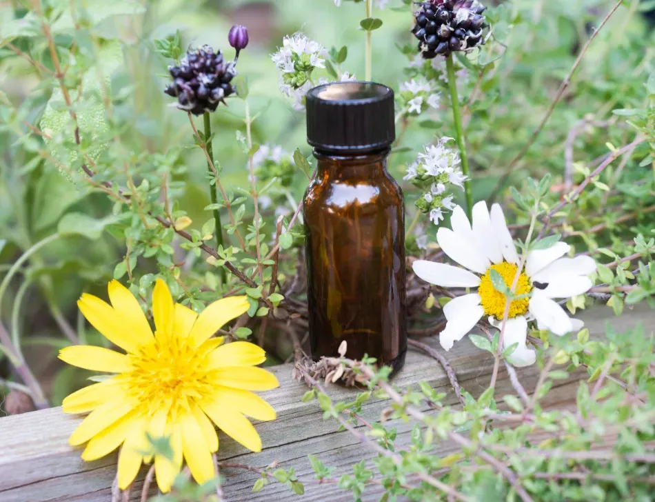 Una pequeña botella de color ámbar entre flores silvestres amarillas y blancas sobre una superficie de madera desgastada.