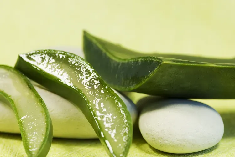 Hojas de aloe vera con una pastilla de jabón ovalada blanca sobre un fondo verde pálido.