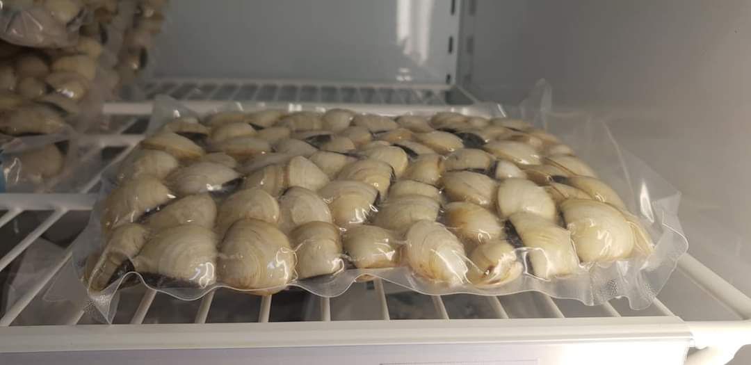 Restaurant Oceano Geschäft