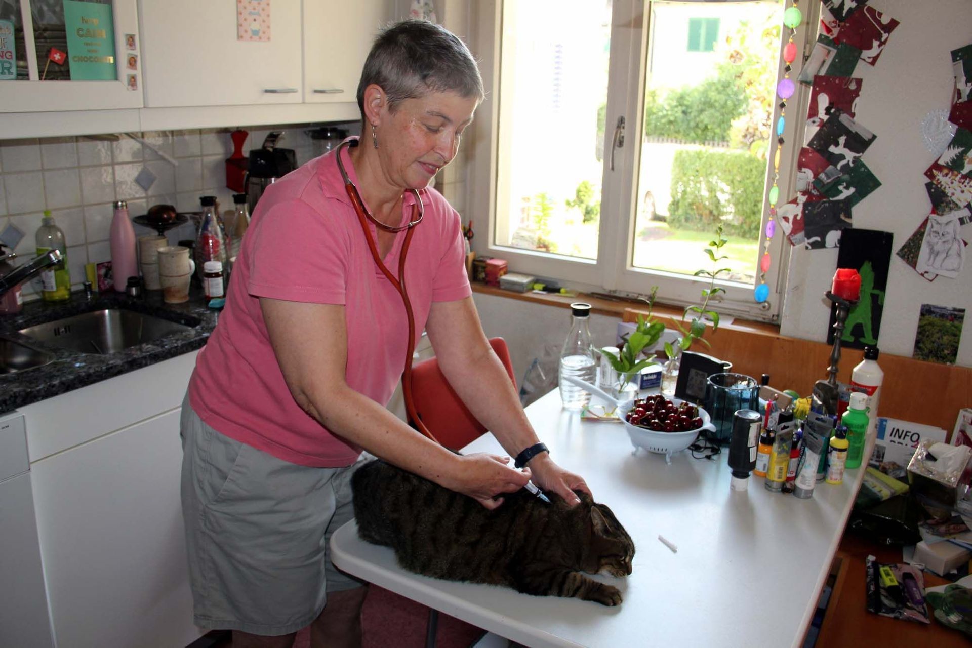 Tierärztin für Kleintiere - Mobile Kleintierpraxis in Brugg AG