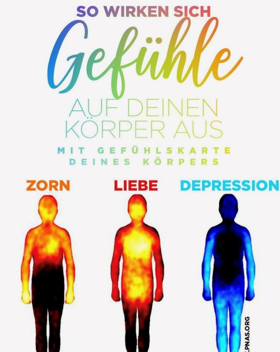 Tisch und Stühle