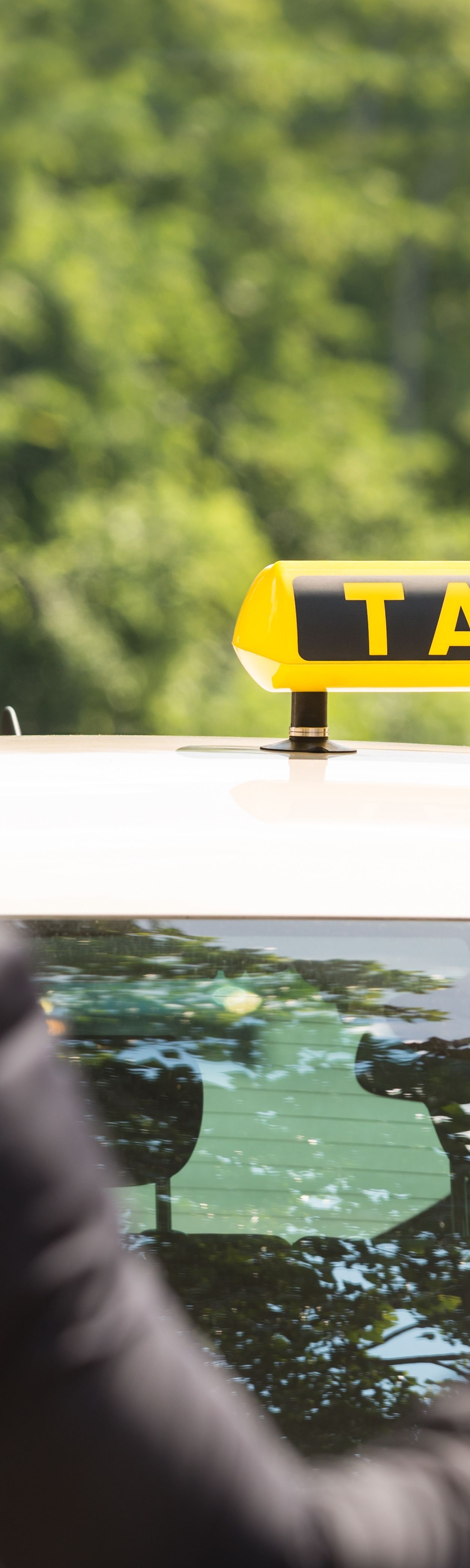 Liens vers la page Calmont.