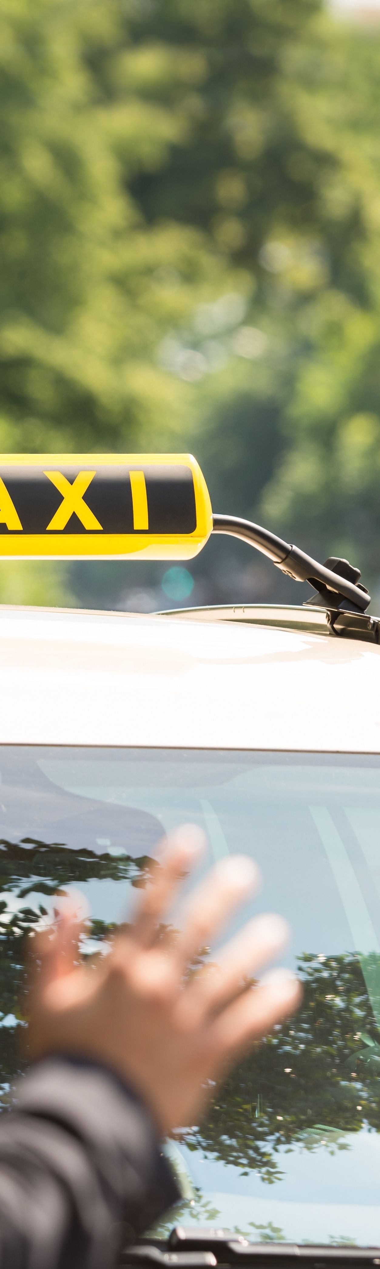 Liens vers la page Saverdun.