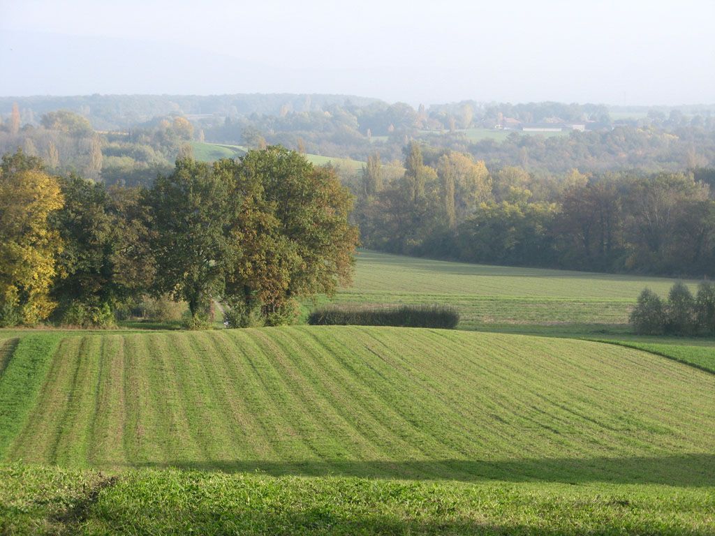 Café d'Avusy (Chez Casa) - Restaurant - Genève