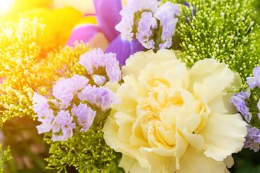 Fiore giallo con raggio di sole