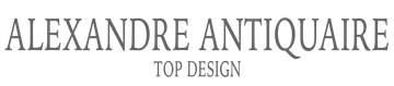Logo de l'entreprise Top Design.