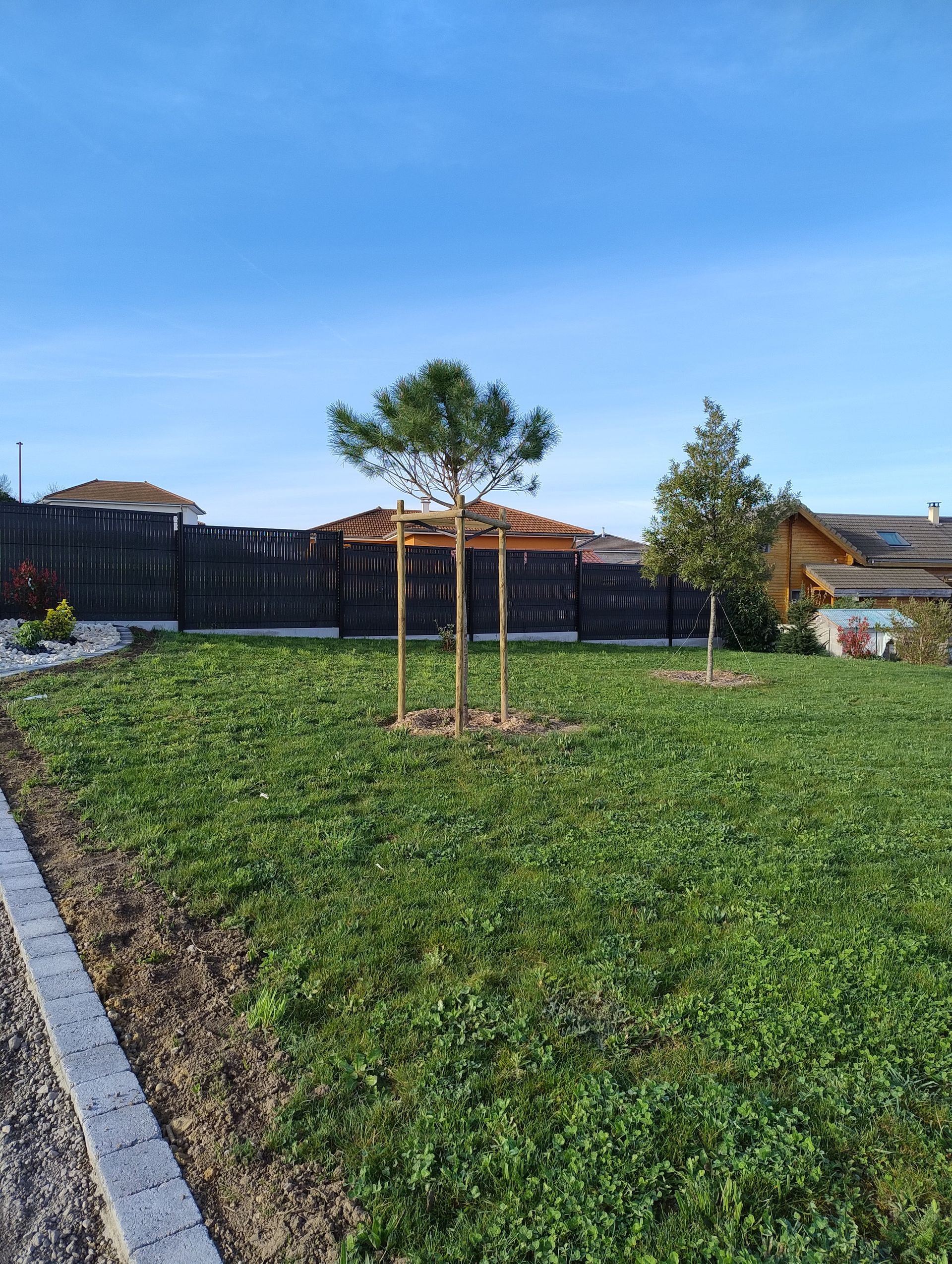 Plantation d'arbres dans un jardin de Vienne