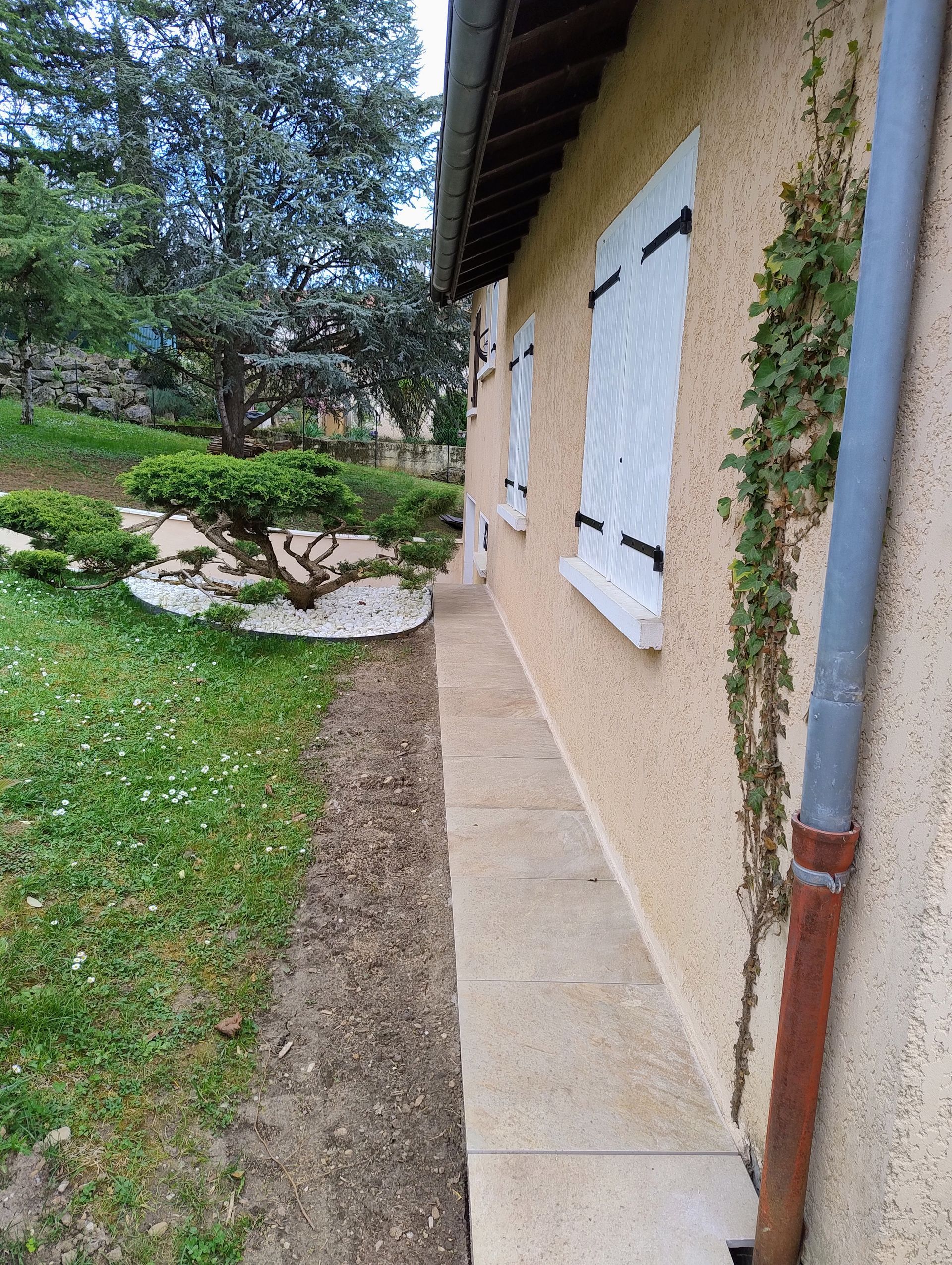 Plantation d'un olivier par ETS ROBELLETS