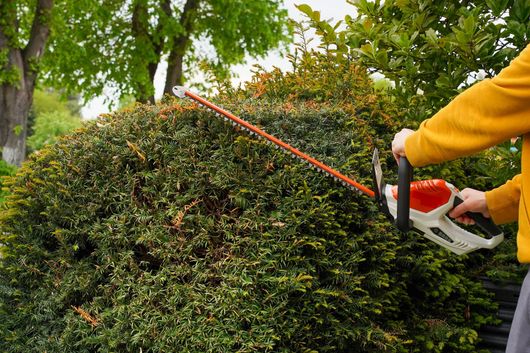 Une personne utilise un taille-haie rouge et blanc pour tailler un buisson vert dense dans un jardin.