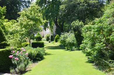 Un chemin de jardin verdoyant et luxuriant, bordé d'arbres, d'arbustes et de fleurs roses, mène à une maison ensoleillée au loin.