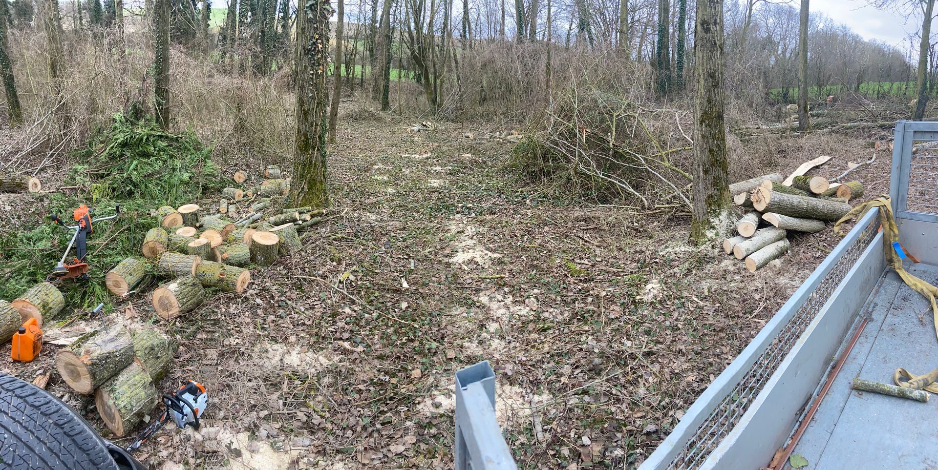 Colline boisée avec des troncs d'arbres coupés empilés près d'une route.