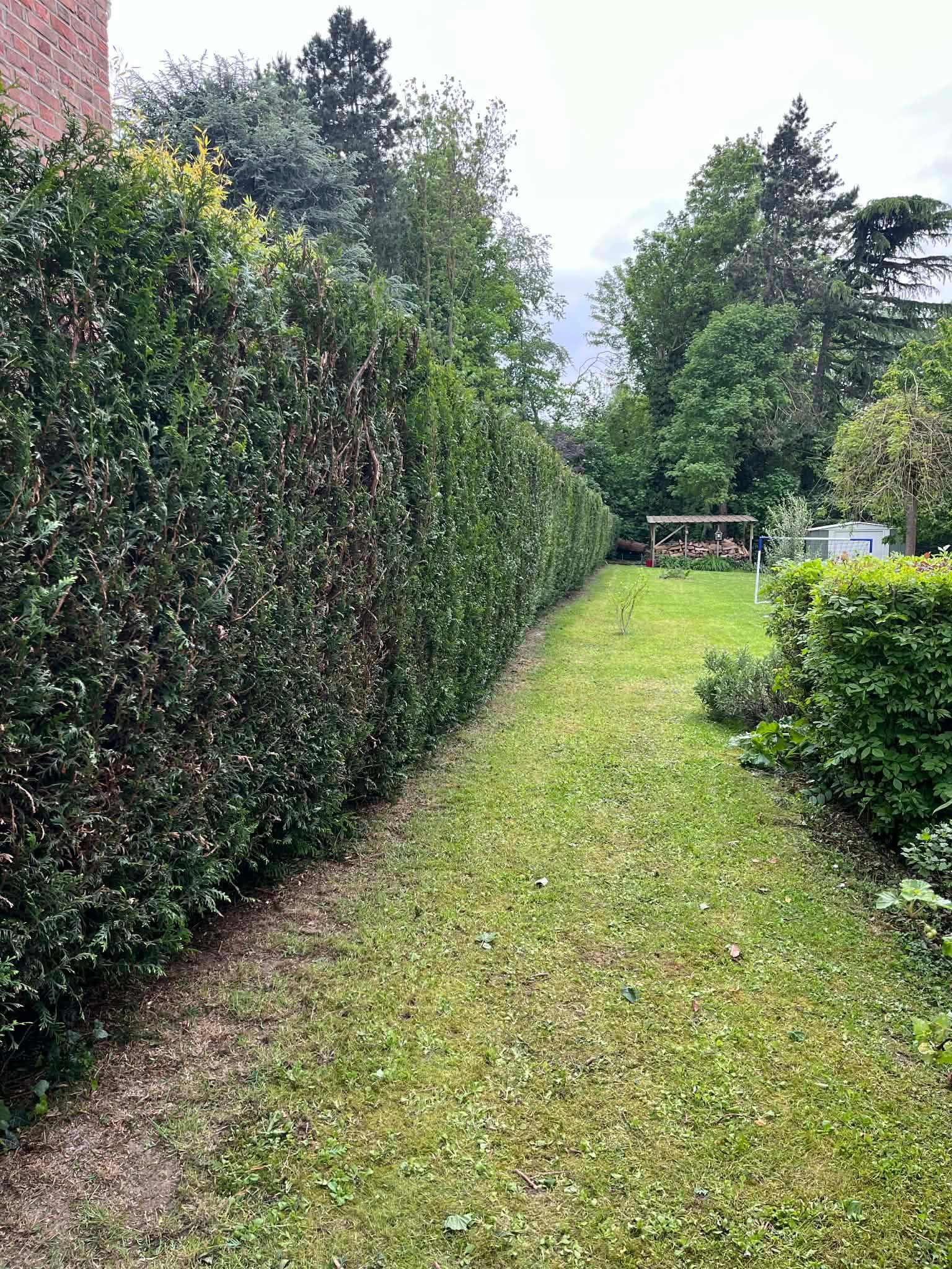 Un étroit chemin herbeux, bordé de hautes haies, mène à un portail en bois dans un jardin.