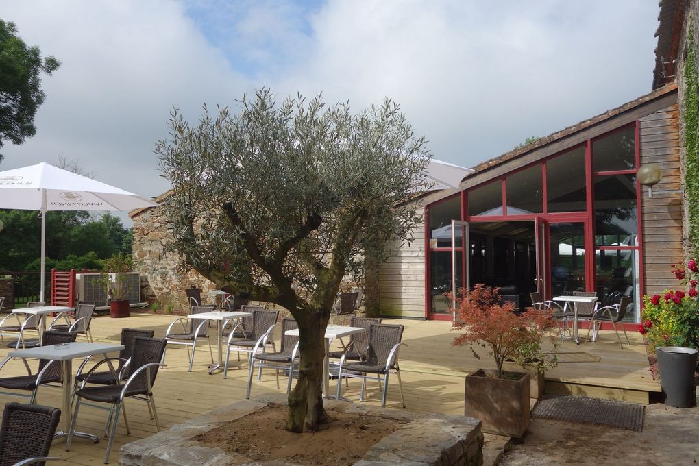 Terrasse de café en plein air avec tables, chaises, olivier et un bâtiment en verre aux bordures rouges sous un ciel lumineux