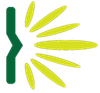 logotipo cabecera