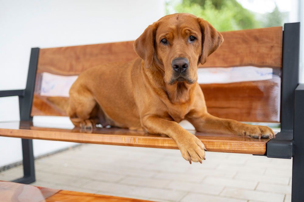 Ein Mann arbeitet in einer Werkstatt an einem Holztisch.