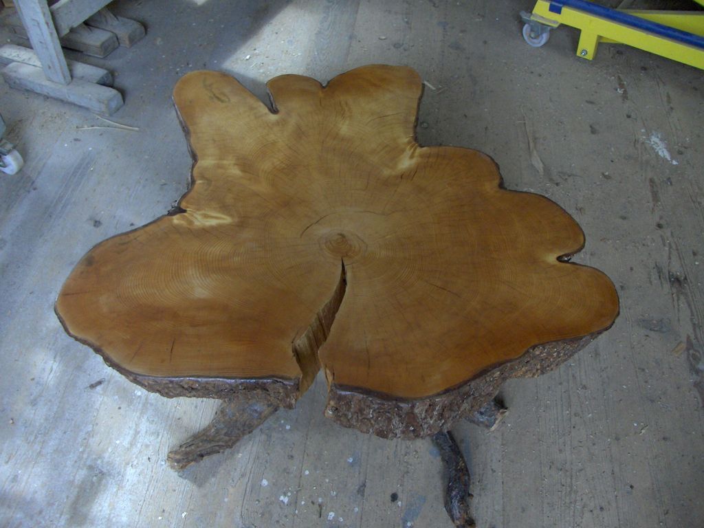 Wurzeltisch - Gerold Kälin AG