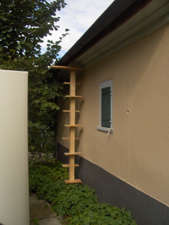 Katzentreppe - Gerold Kälin AG