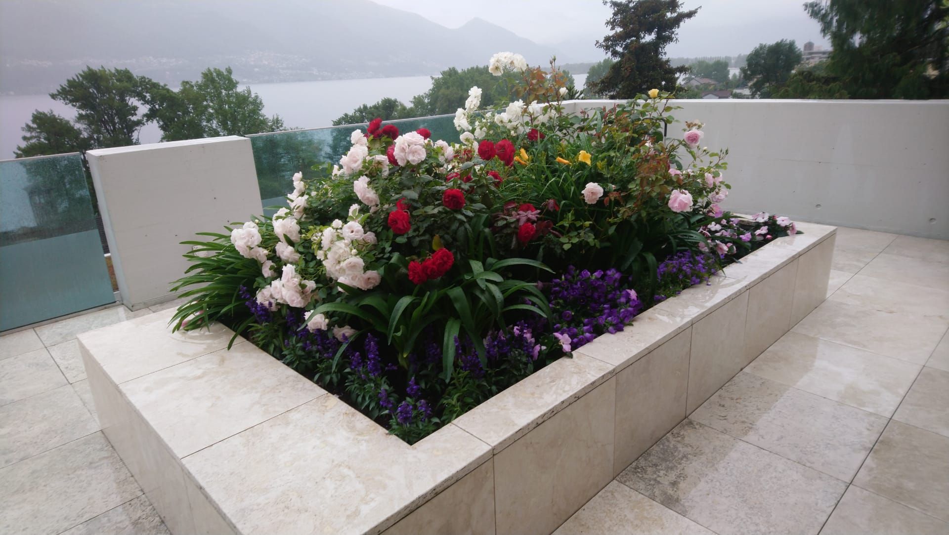 Aiuola rettangolare rialzata con rose bianche, rosse e rosa e fiori viola, con vista su un lago e sulle montagne.