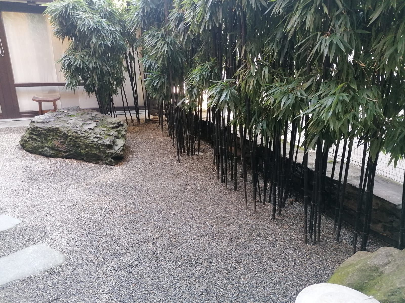 Giardino zen con bambù nero, ghiaia, sentiero in pietra e grandi rocce.