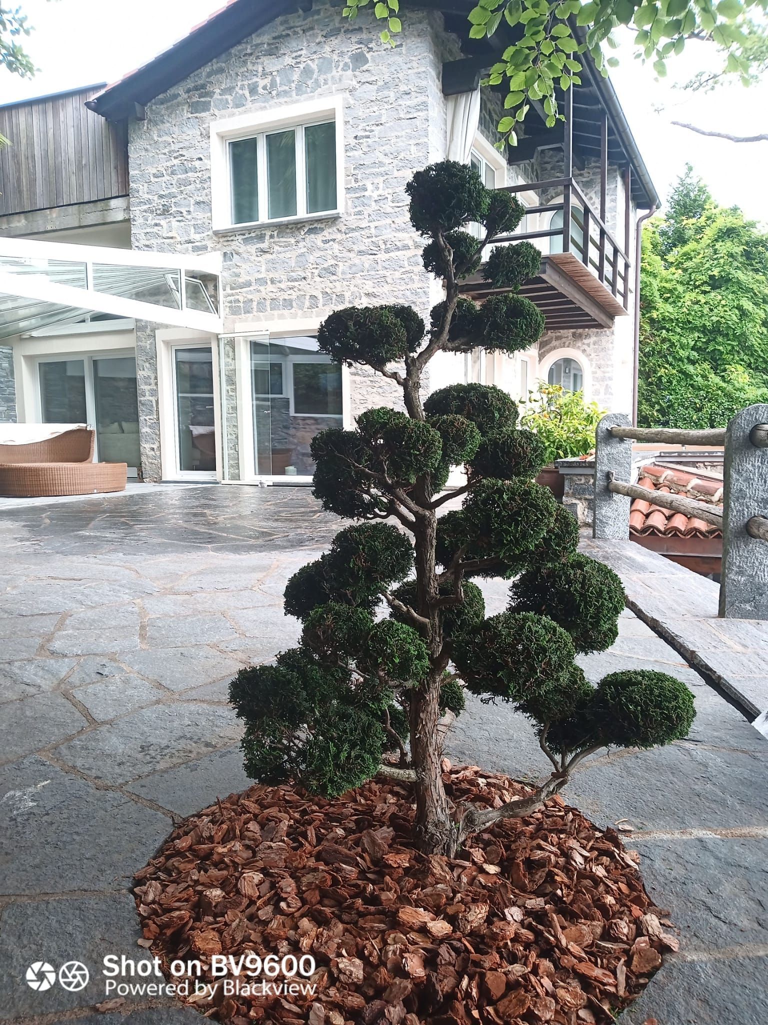 Albero topiario in vaso su un patio in pietra di fronte a una casa in pietra con balcone e veranda coperta.