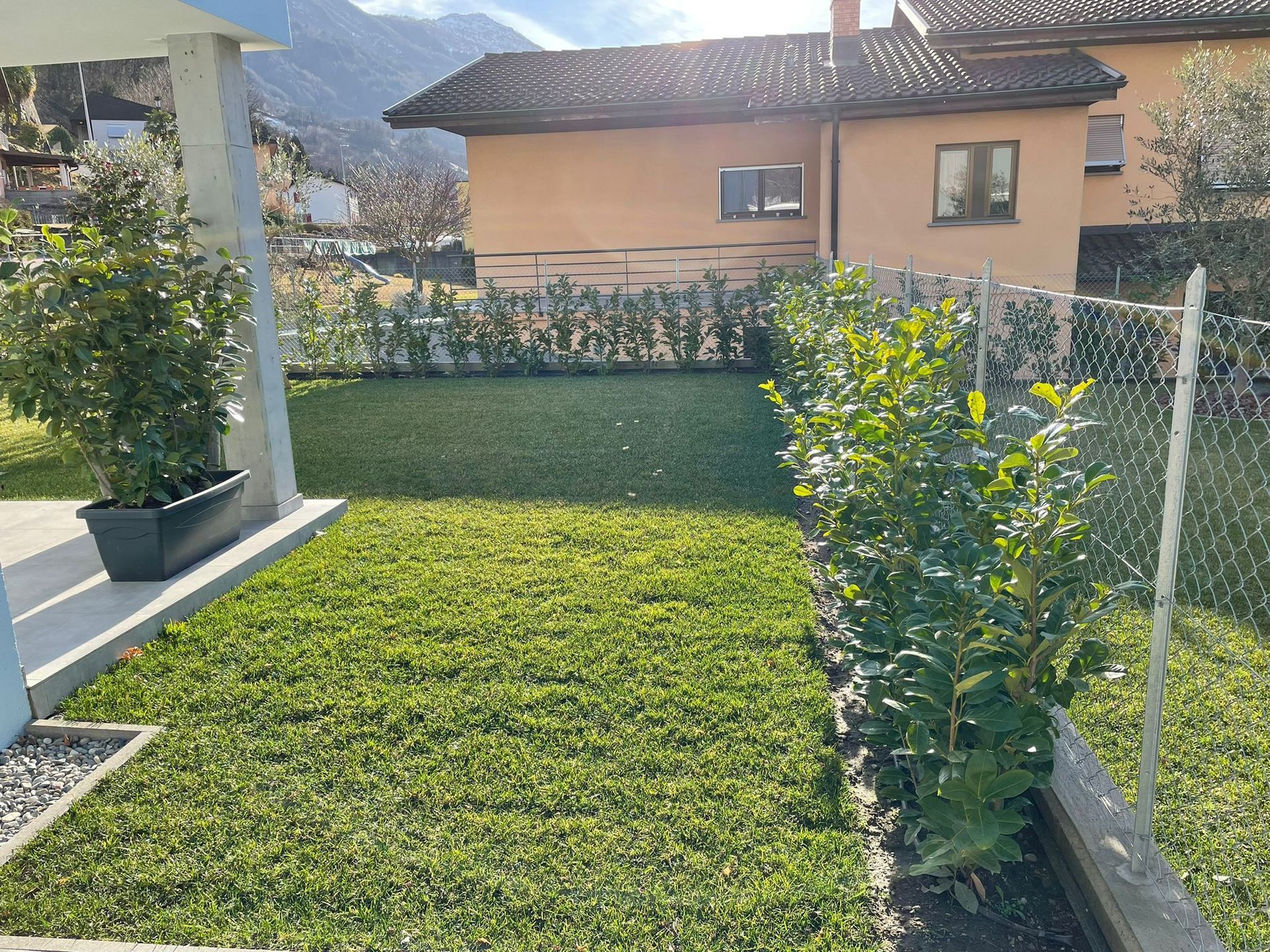 Un piccolo cortile erboso delimitato da siepi e da una recinzione, con una casa sullo sfondo.