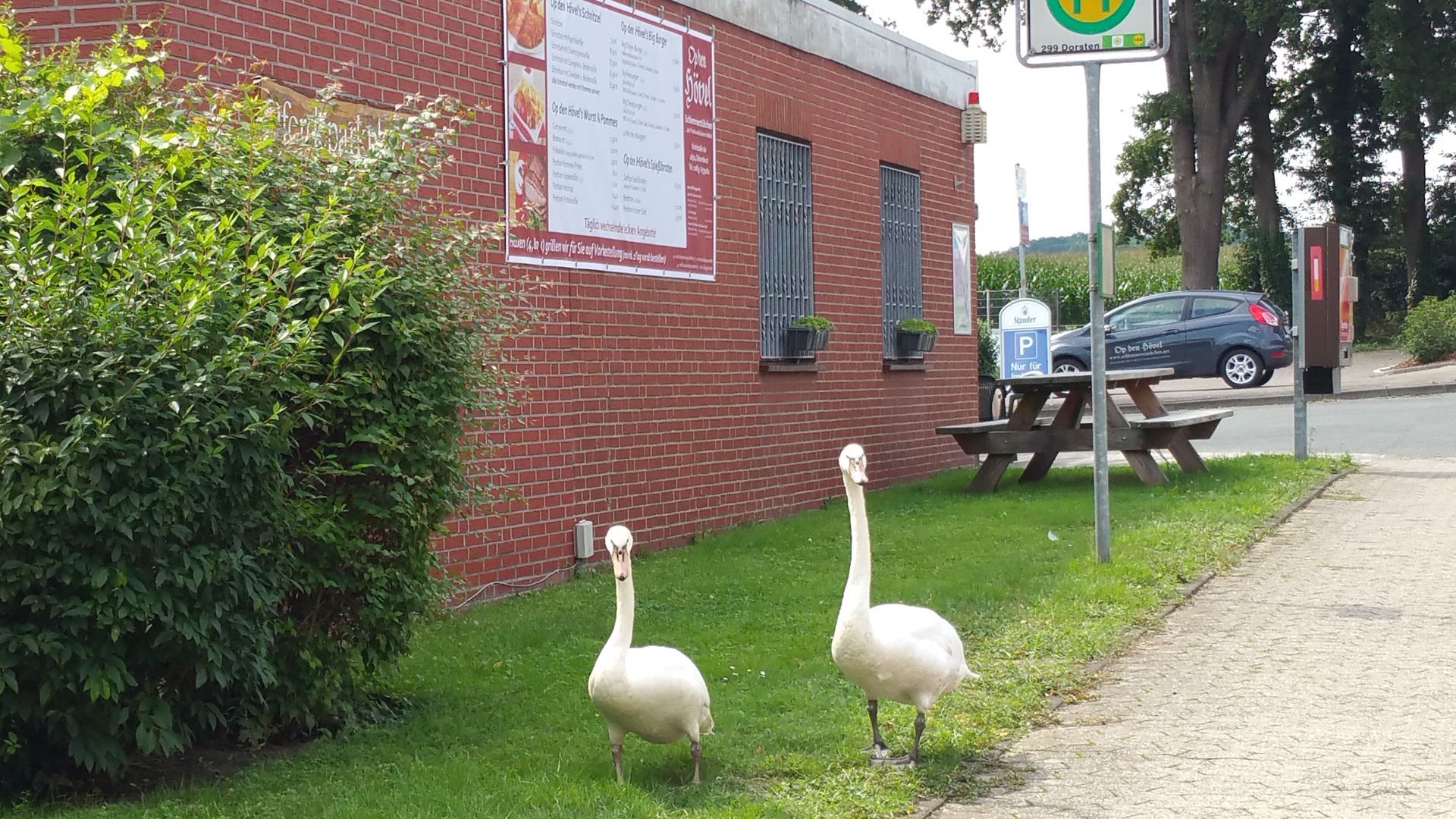 Zwei Enten stehen vor dem Schlemmerstübchen