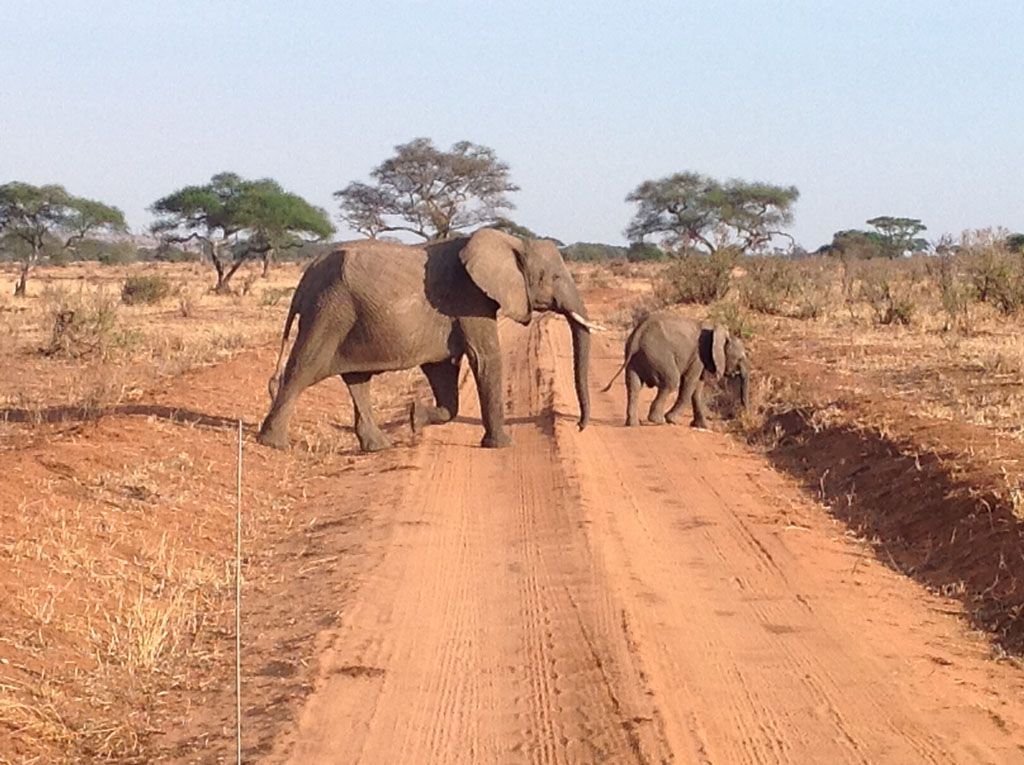 Reiseimpressionen - marisas reisetreff - Liestal