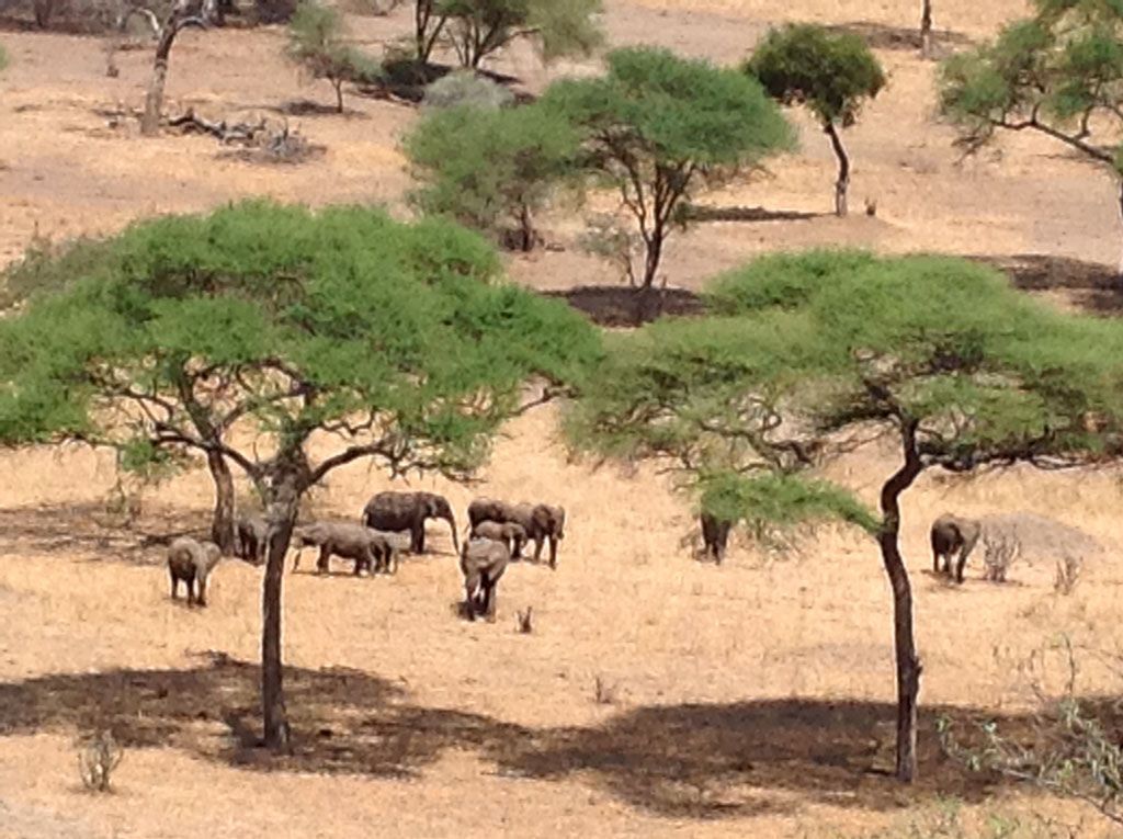 Reiseimpressionen - marisas reisetreff - Liestal