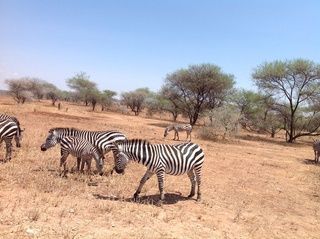 Reiseimpressionen - marisas reisetreff - Liestal