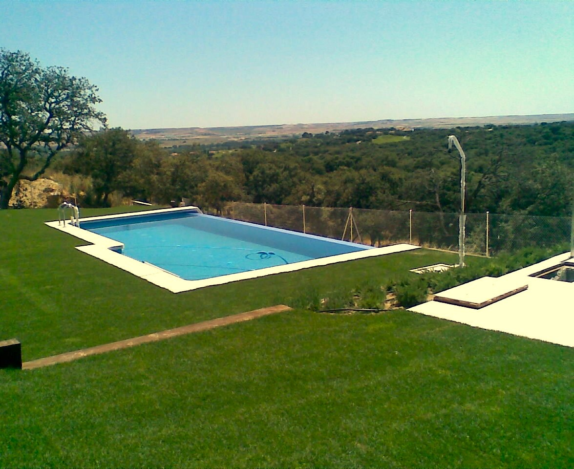Una gran piscina en medio de un exuberante campo verde.