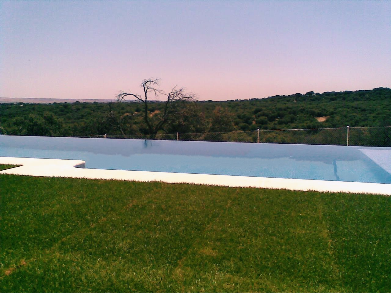 Una gran piscina está rodeada de césped y árboles.