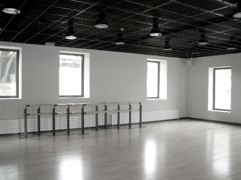 Una habitación vacía con suelo de madera y techo negro.