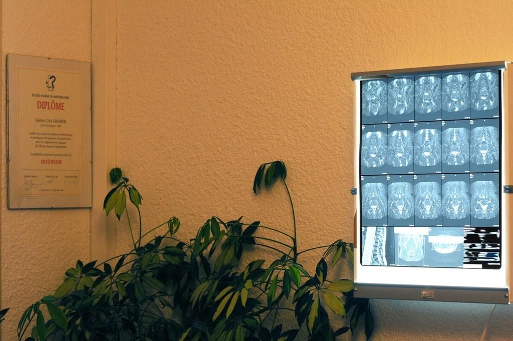 Valérie Gay-Crosier, Ostéopathe à St-Maurice et Sion