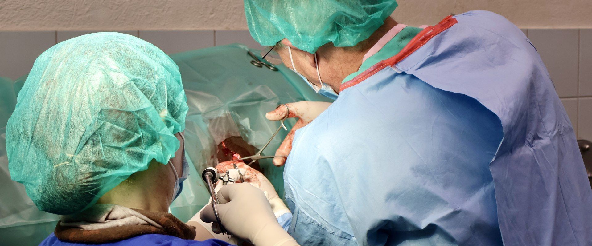 Tierklinik Leimental AG