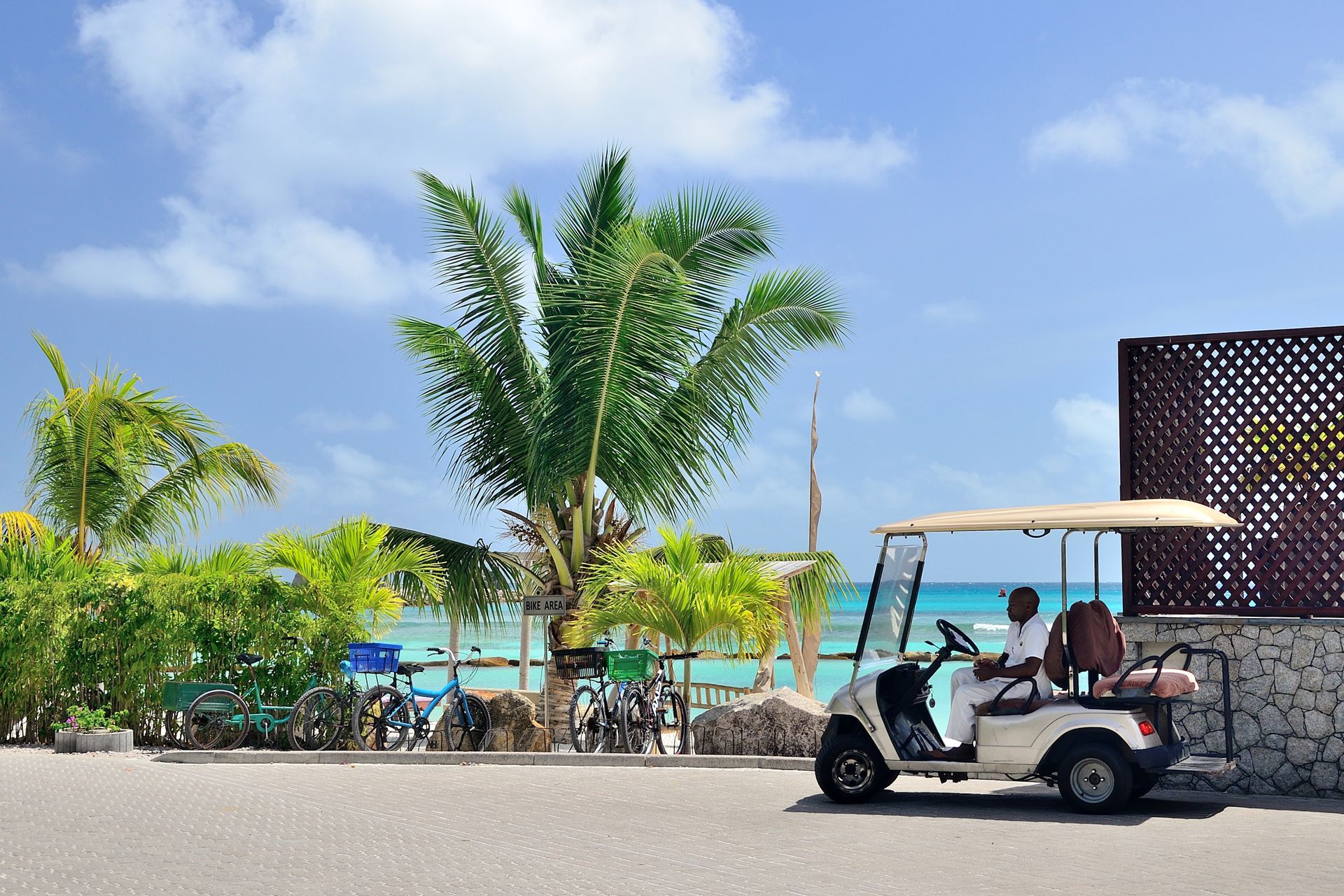 Homme dans une golfette devant une plage.