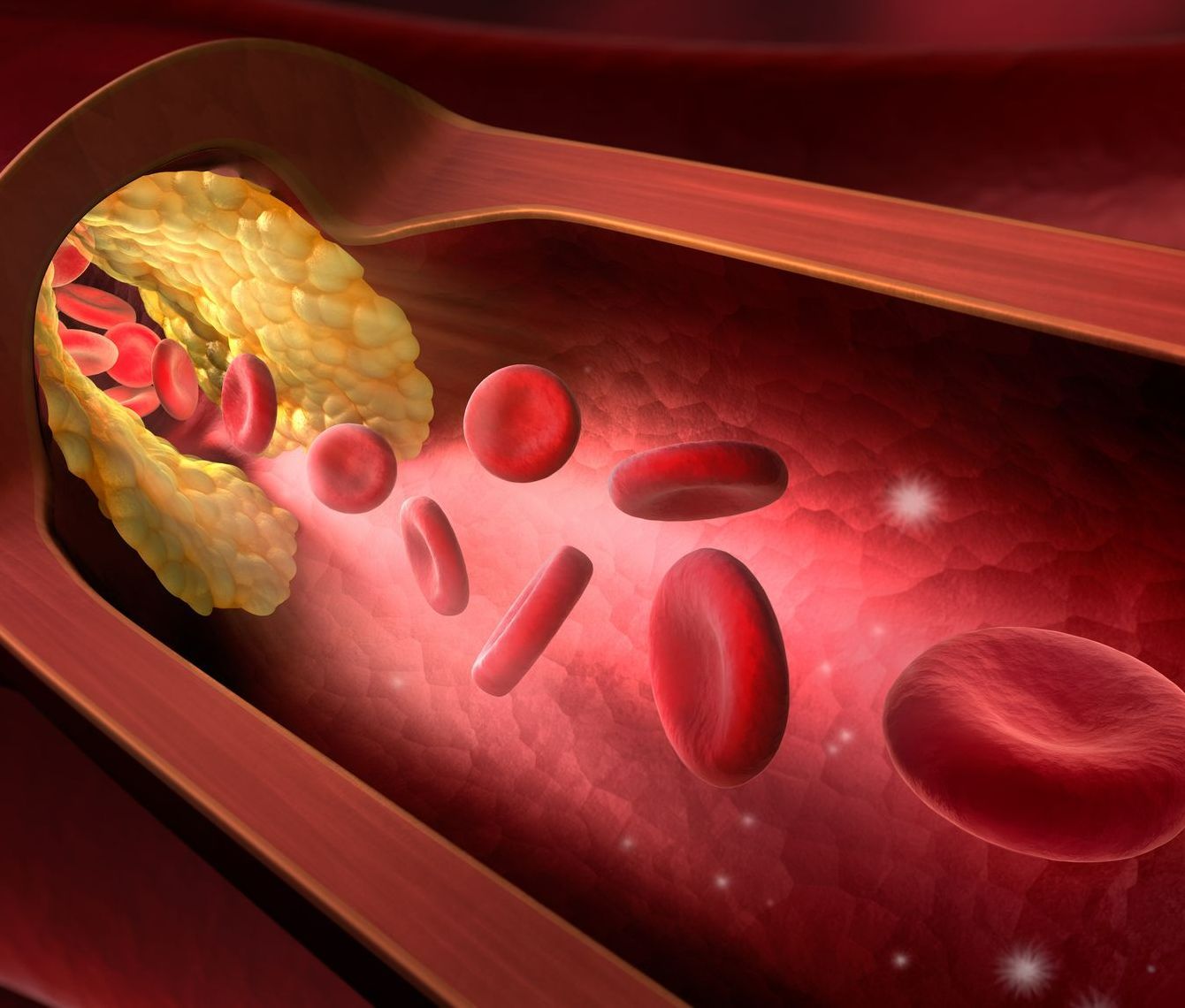 Innere Medizin und Kardiologie M.D. Dr. Elsharkawy