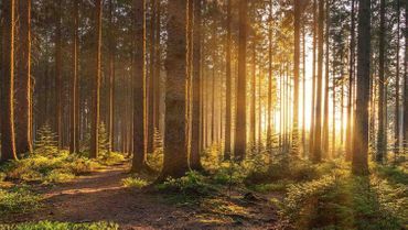 Person hält Paar aus Papier und Sparschwein