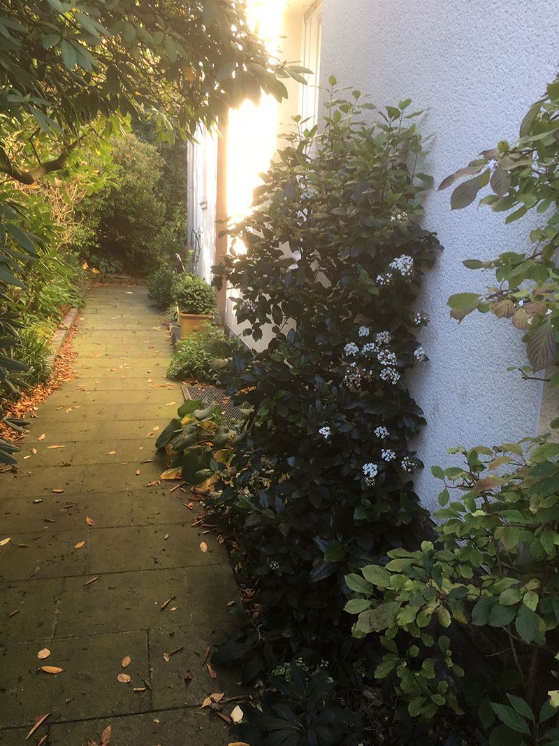 Hotz Gartengestaltung