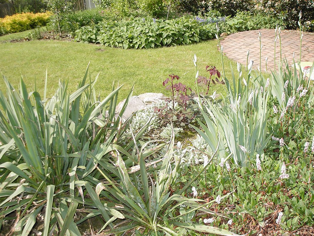 Hotz Gartengestaltung