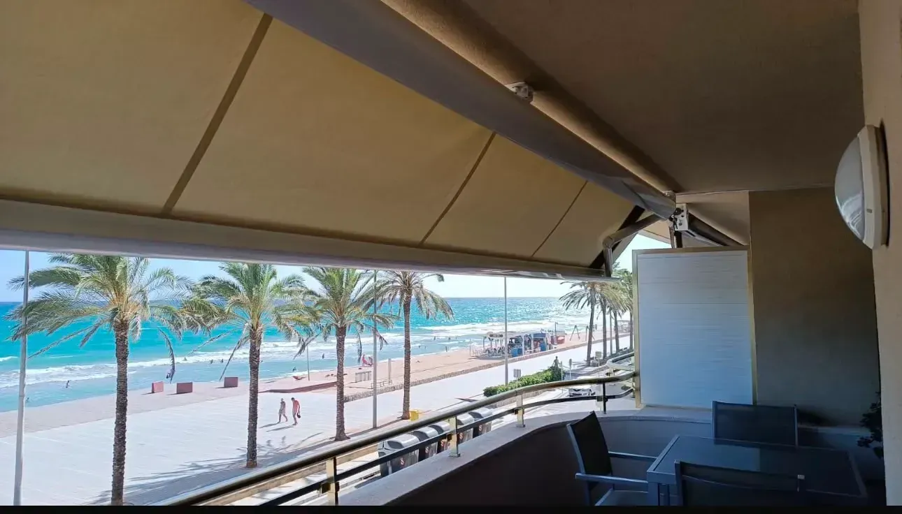 Terraza sombreada de una cafetería junto al mar con vistas a una playa bordeada de palmeras y al océano turquesa.