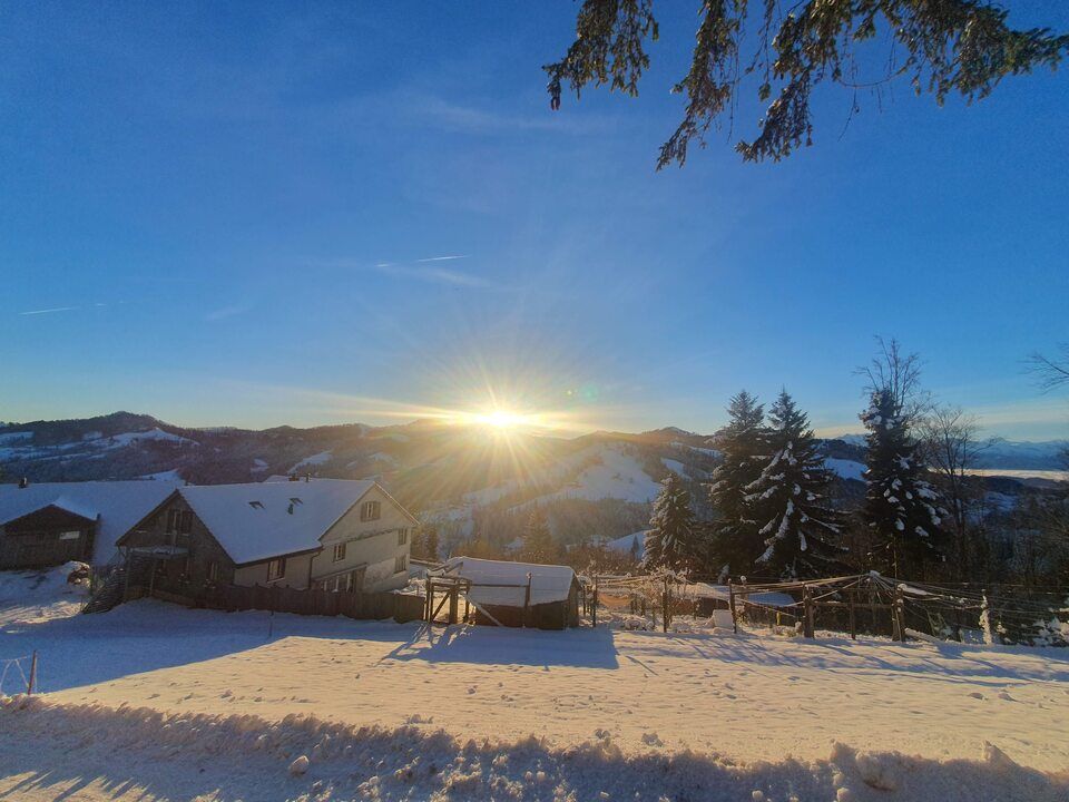 Tierservice Heer - Sonnenaufgang und Winterlandschaft