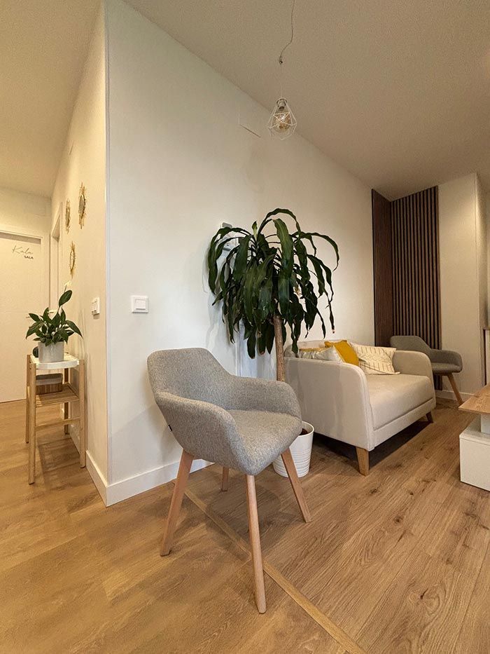 Una sala de estar con sofá, silla, mesa y planta.