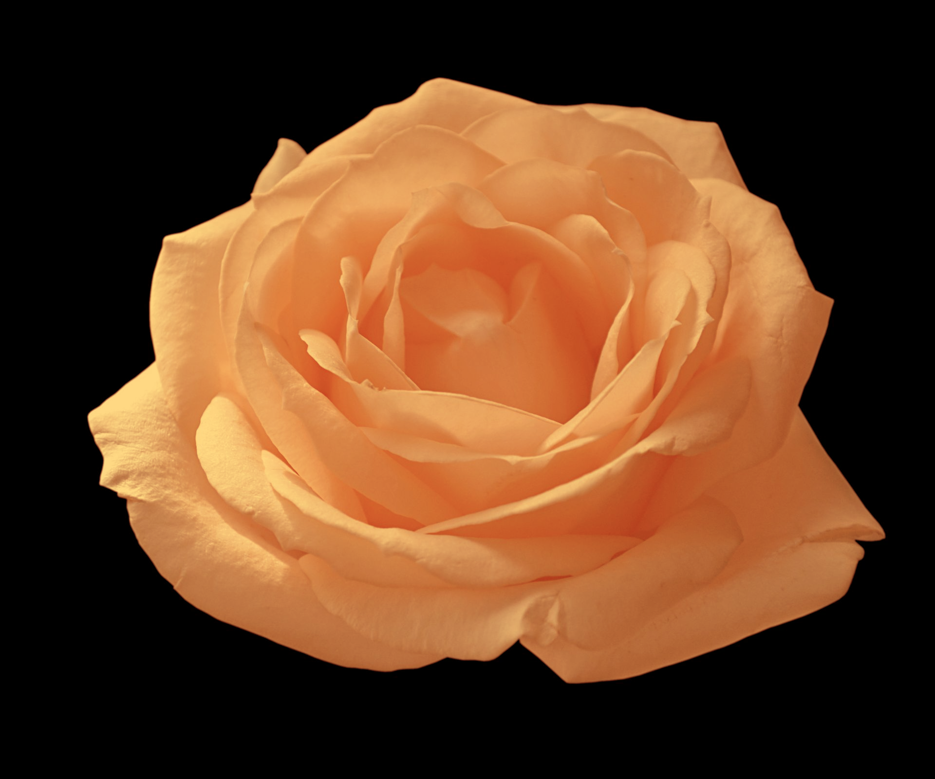 Application d'un soin à l'argile sur un dos