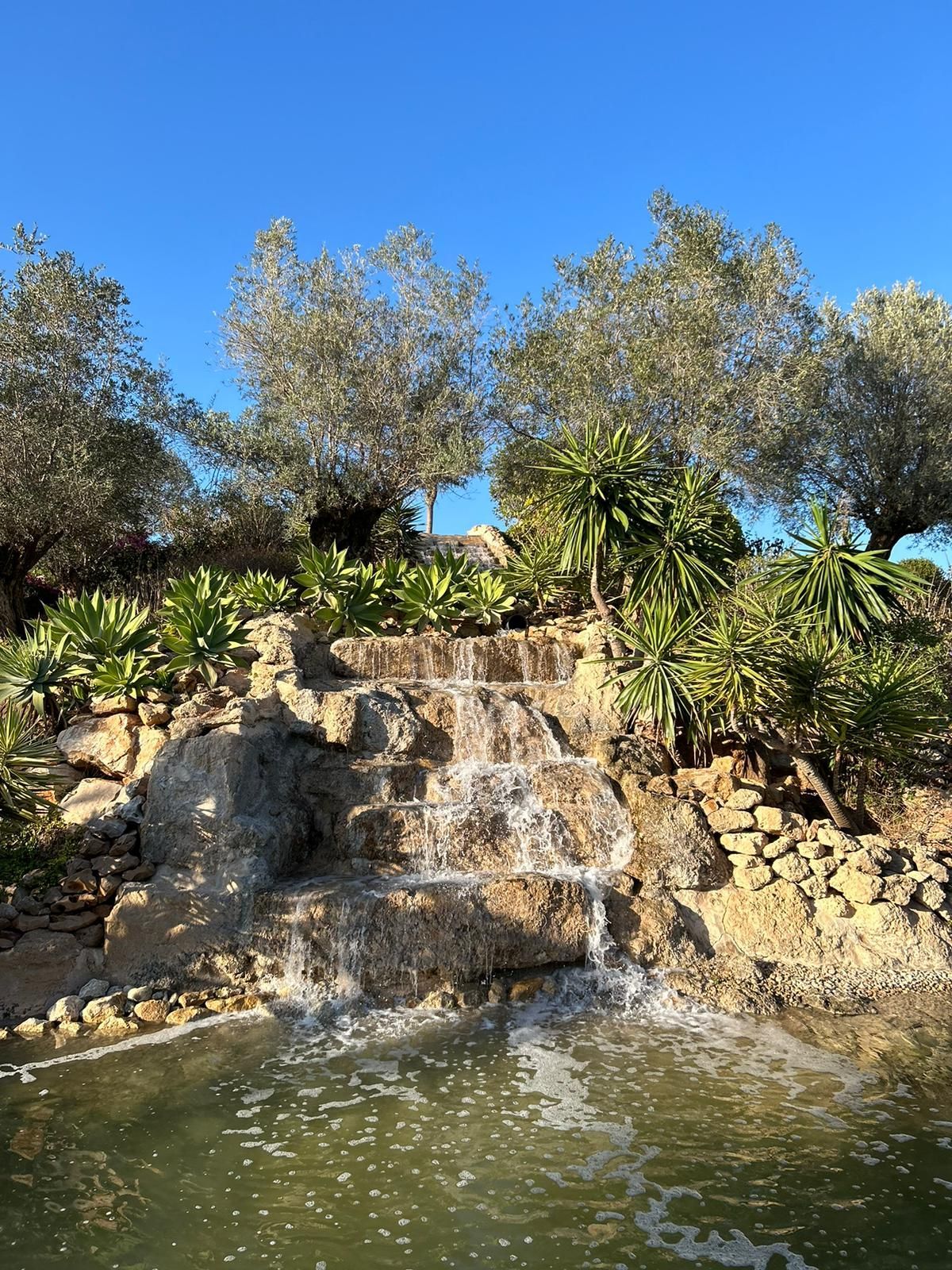 Hay una cascada en medio de un estanque rodeado de árboles.