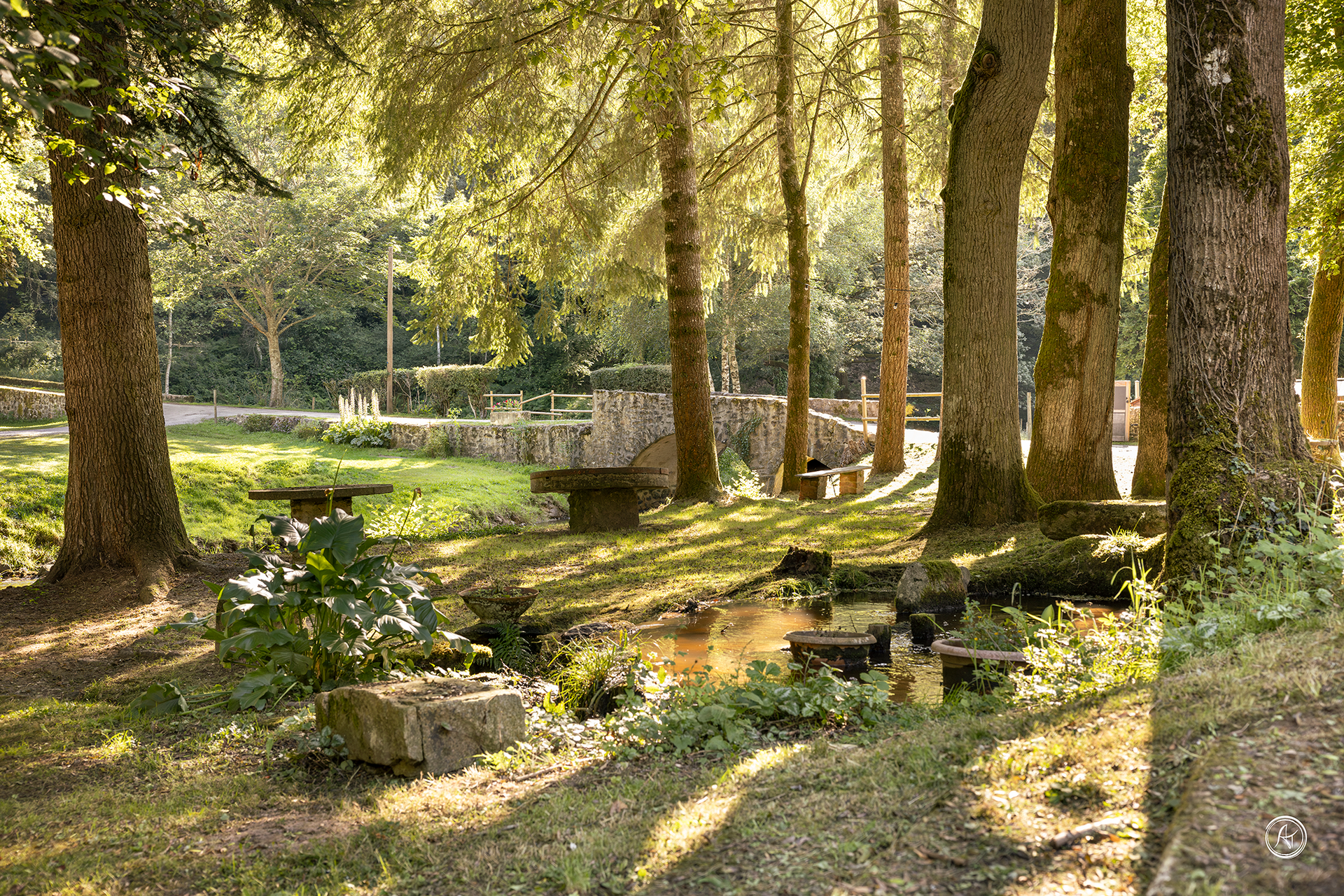 Scène de parc ensoleillé avec ruisseau, bancs de pierre et pont, entourée d'arbres et de verdure.
