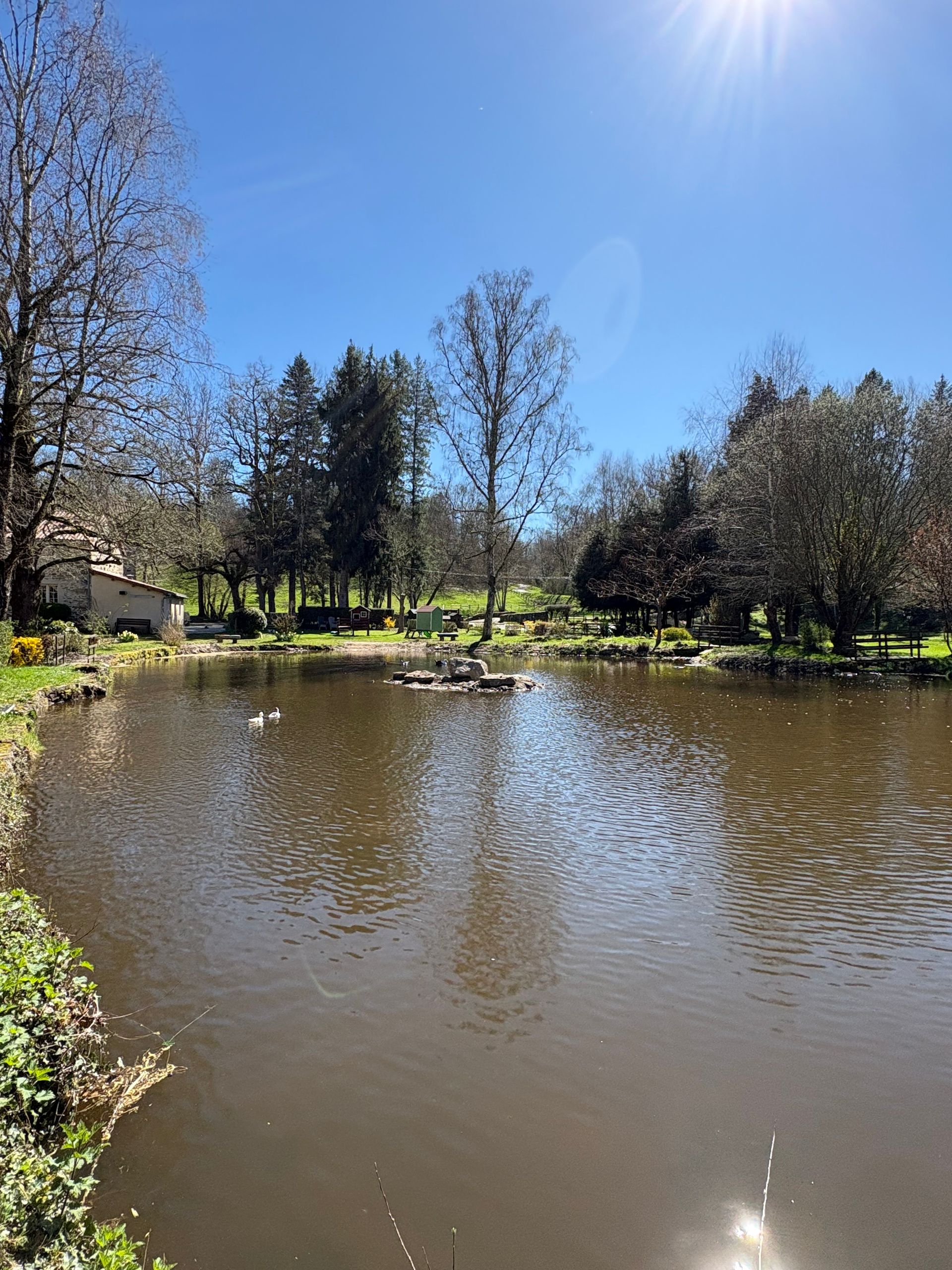 Tranche de clafoutis aux cerises avec crème fouettée et filet de sauce, servie sur une assiette blanche.