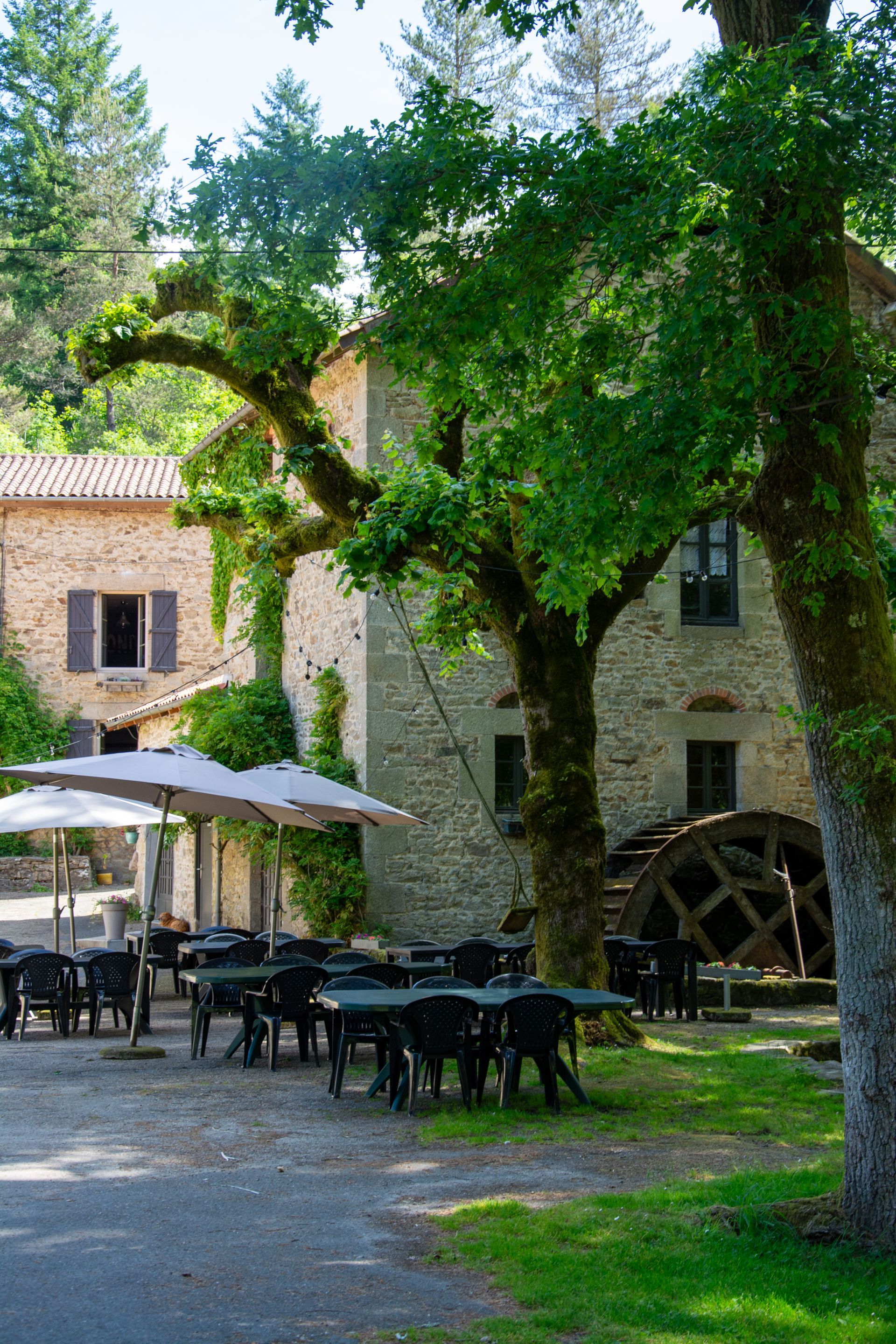 Poisson grillé avec des tranches de citron, des pommes de terre et des légumes dans une assiette.