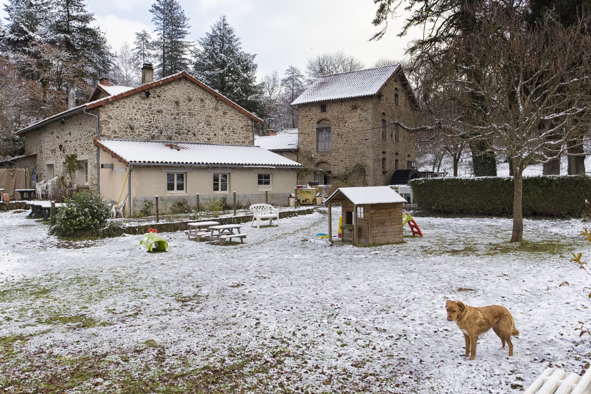 Cour enneigée avec des bâtiments en pierre, un chien et une cabane d'enfant. Scène d'hiver en milieu rural.