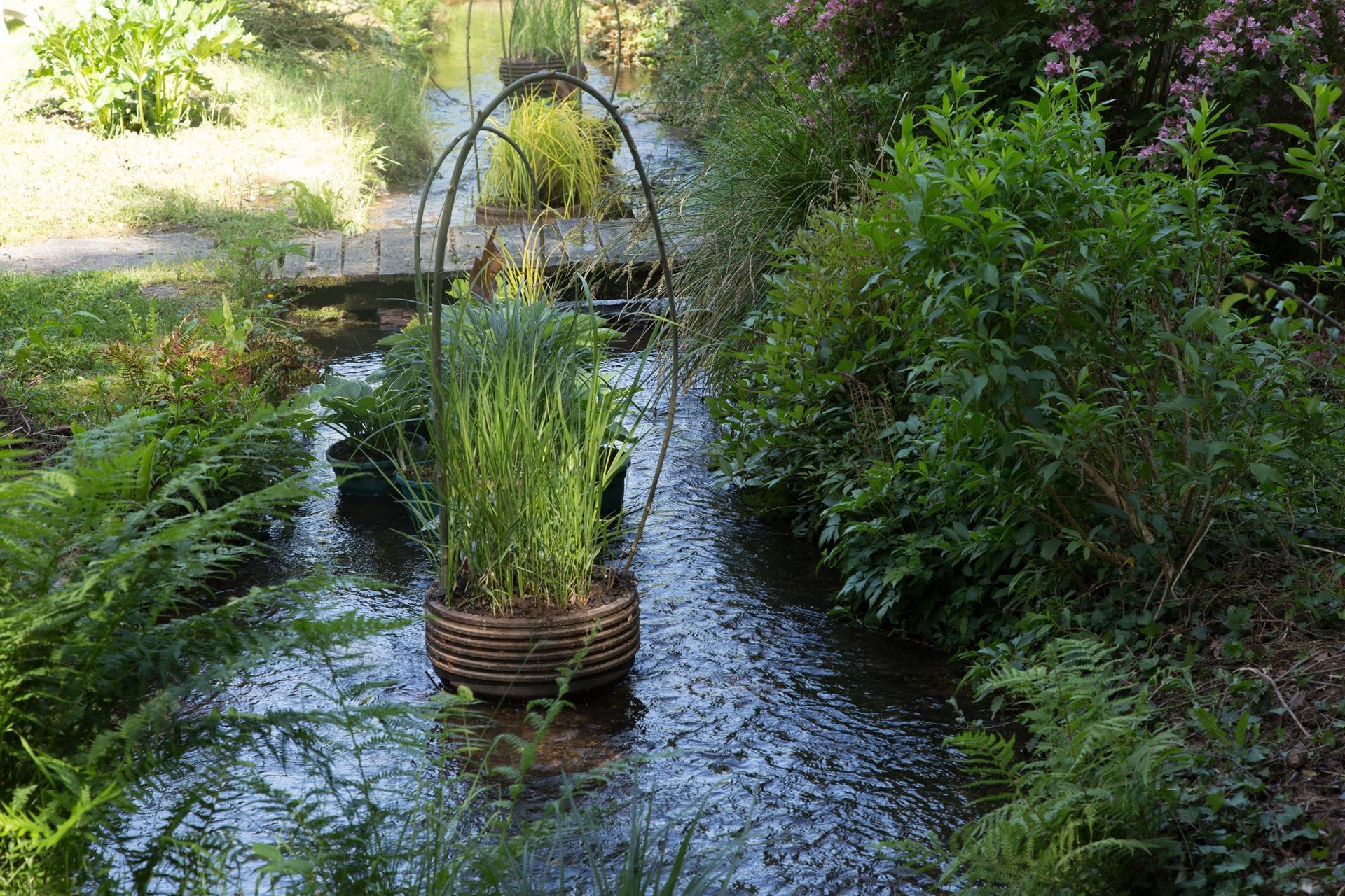 Un panier tressé rempli de plantes flotte sur un ruisseau peu profond, entouré de verdure.