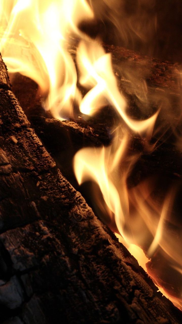 Des flammes consument plusieurs bûches de bois.